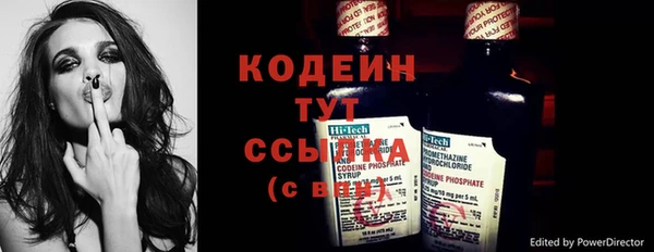 дмт Краснослободск