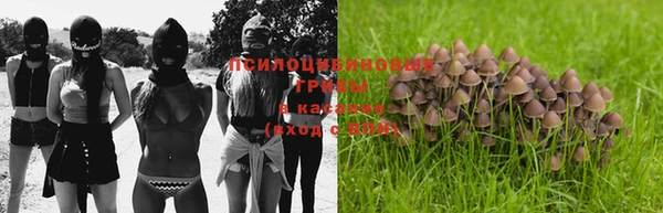 соль ск Корсаков