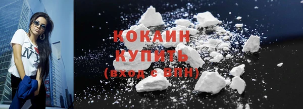 дмт Краснослободск