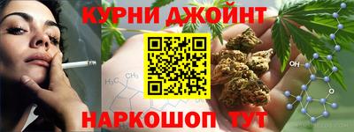 индика Гусь-Хрустальный