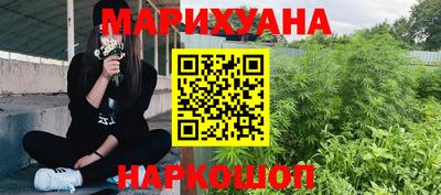 индика Гусь-Хрустальный