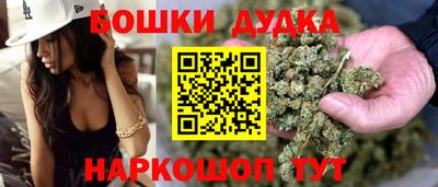 индика Гусь-Хрустальный