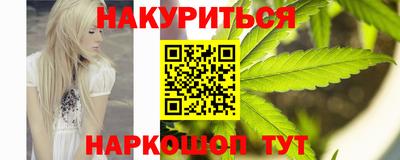 индика Гусь-Хрустальный