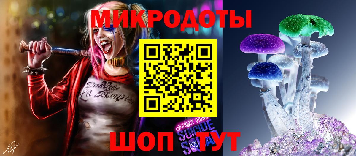 Кудрово  купить наркотики сайты  Псилоцибиновые грибы Psilocybine cubensis  Вход с VPN  Галлюциногенные грибы прущие грибы 
