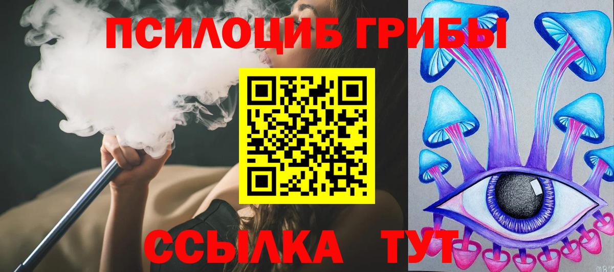Псилоцибиновые грибы Psilocybe Кудрово