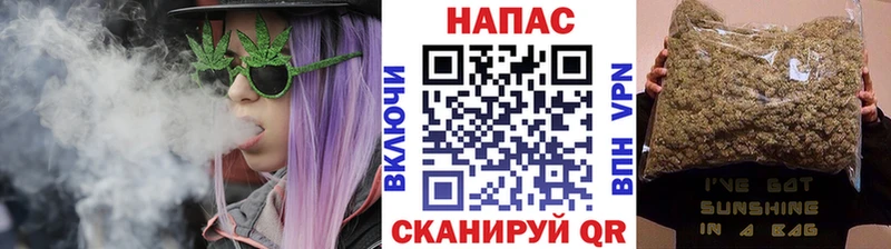 Конопля марихуана  Кудрово 